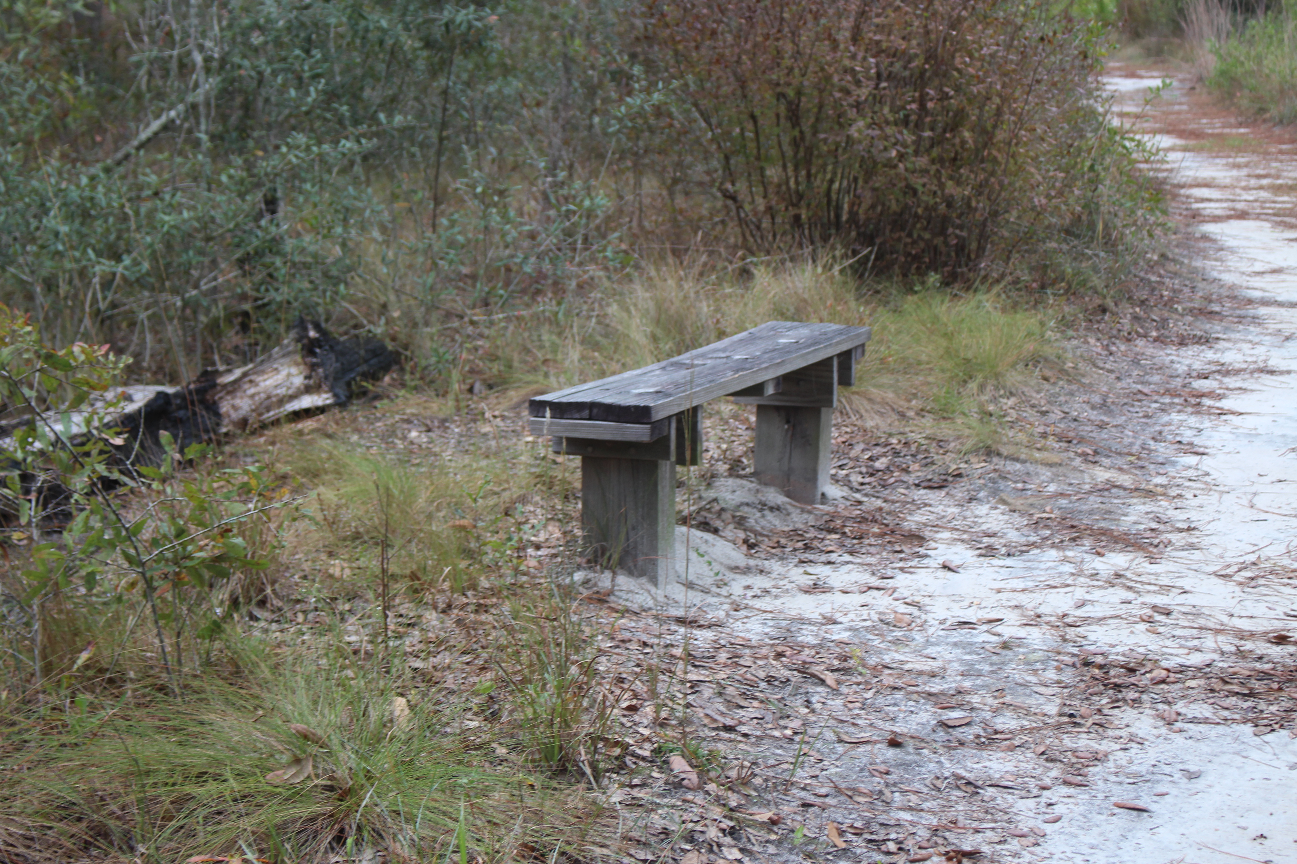 Reed Bingham State Park