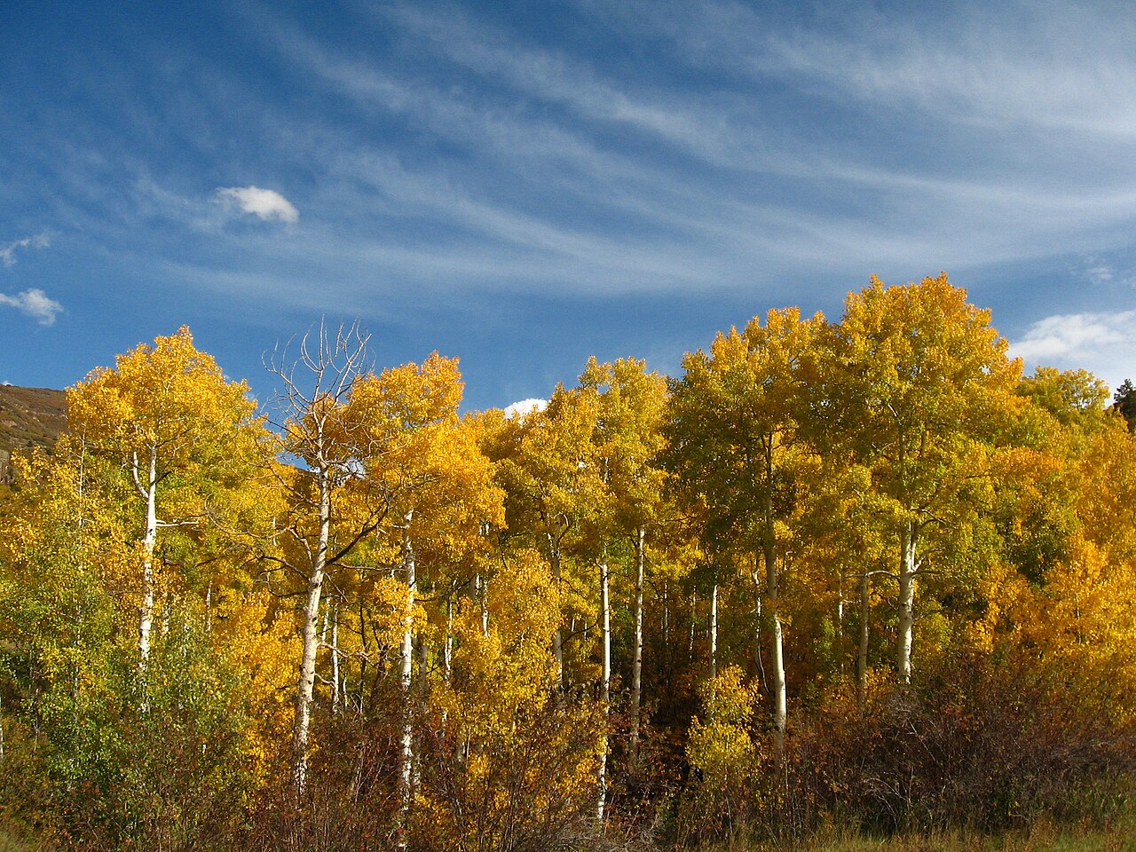 Devils Canyon