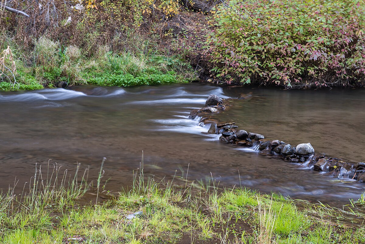 South Fork Campground