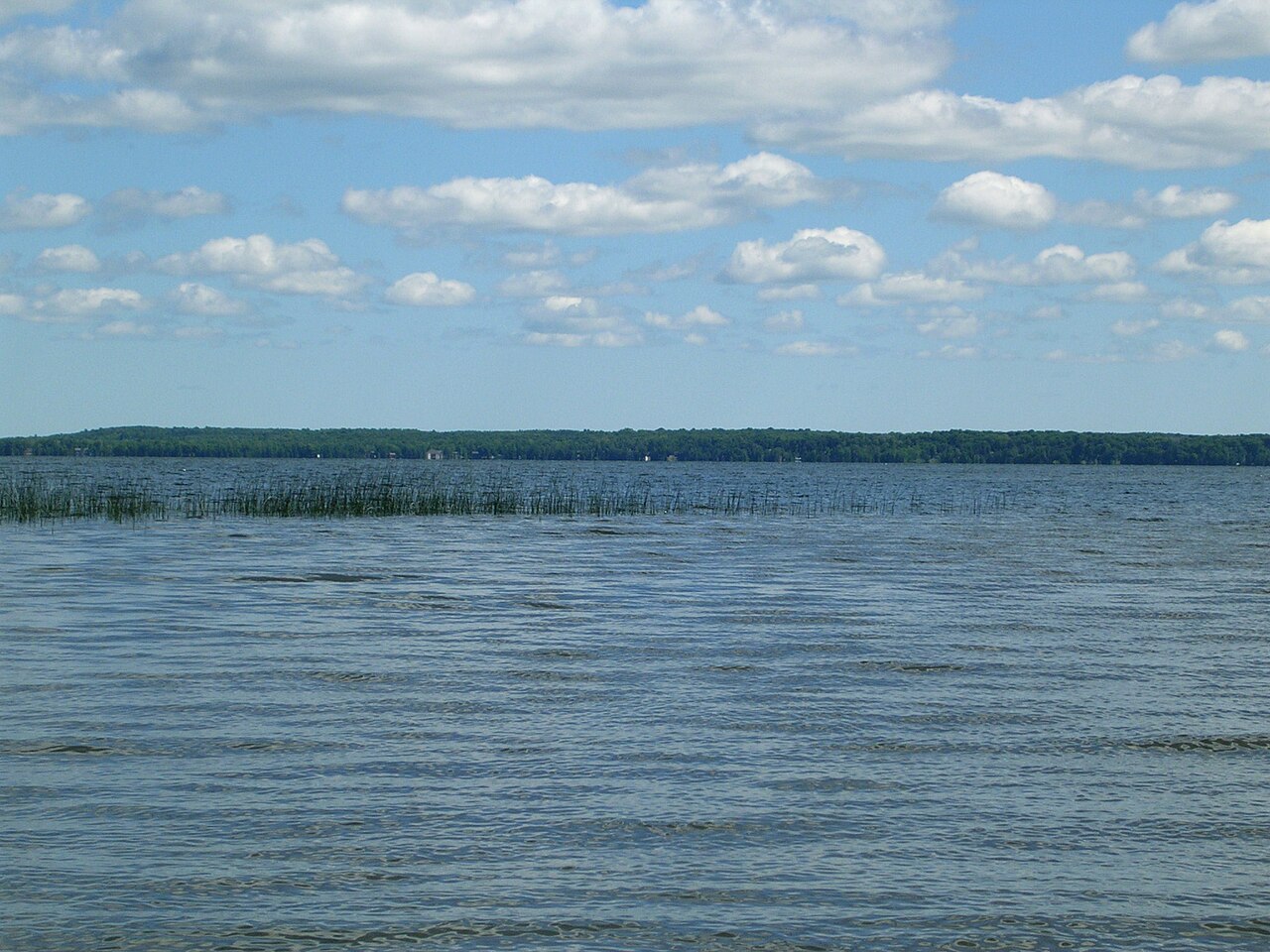 Wikimedia Commons
