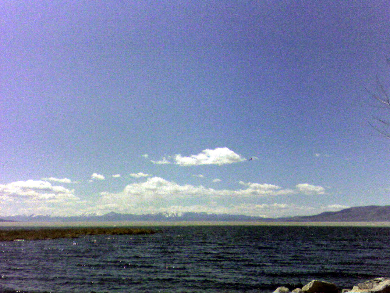 Wikimedia Commons