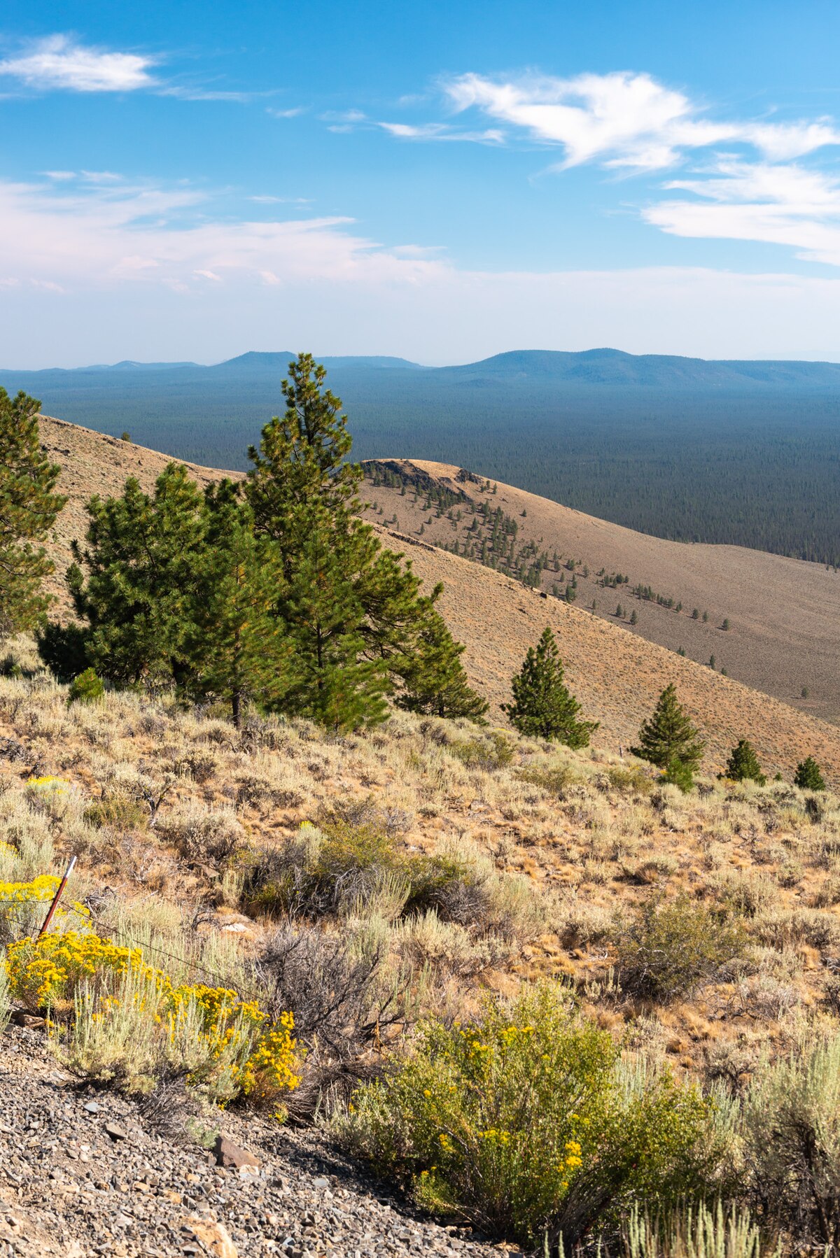 Pine Mountain Campground