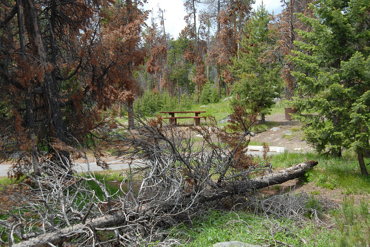 Park Lake Campground
