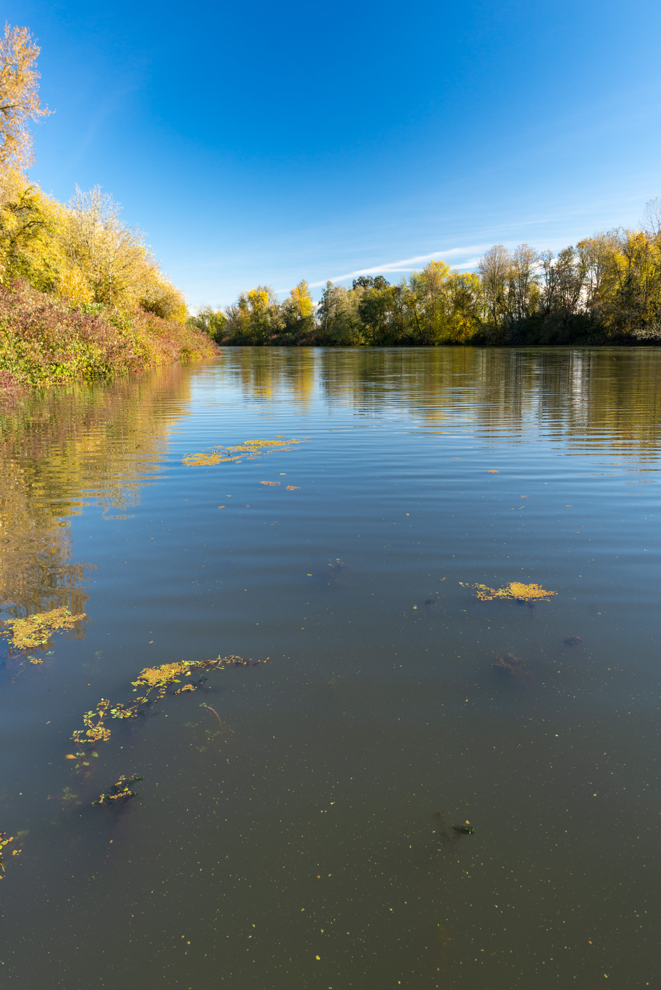 Willamette Mission State Park