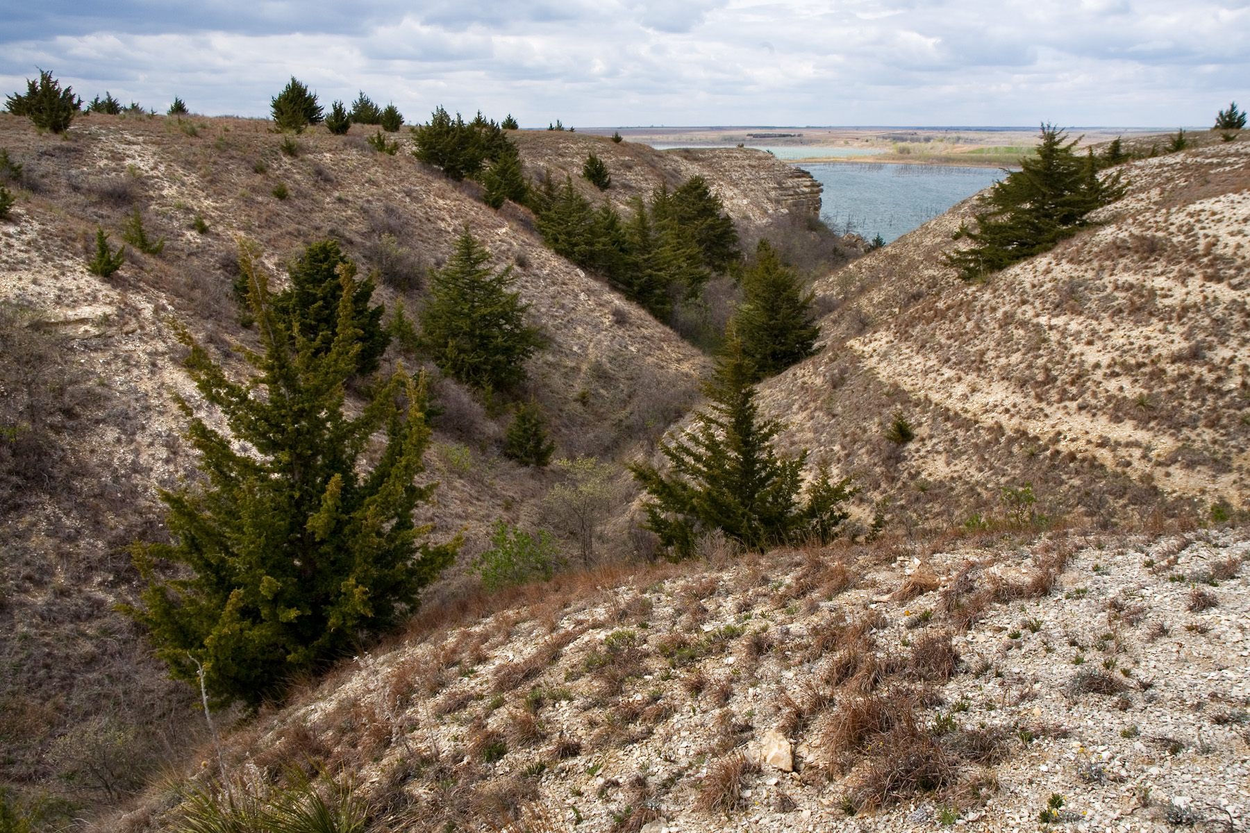 Cedar Bluff State Park
