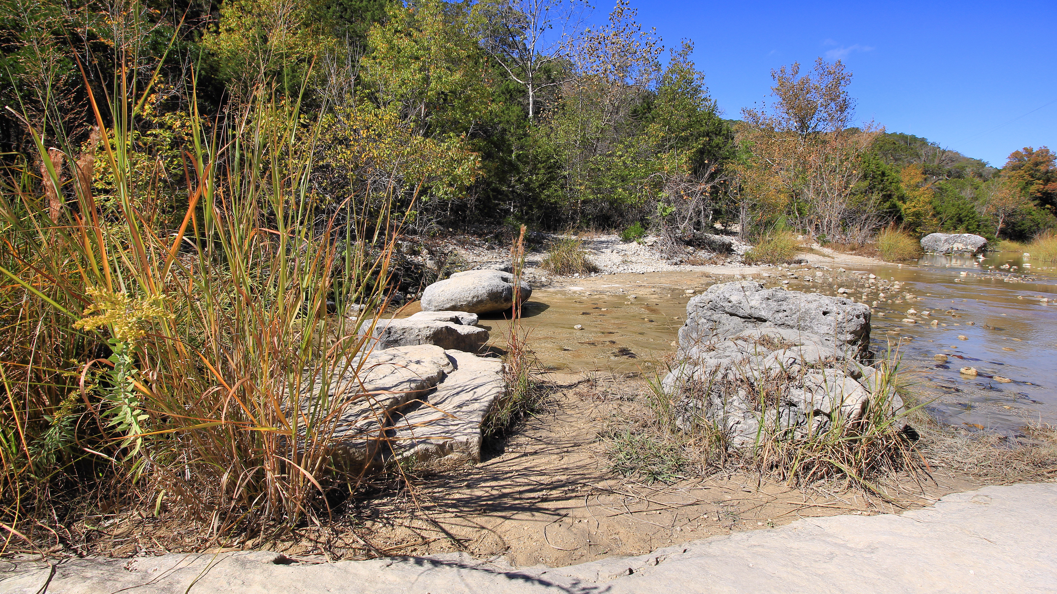 Lost Maples State Natural Area