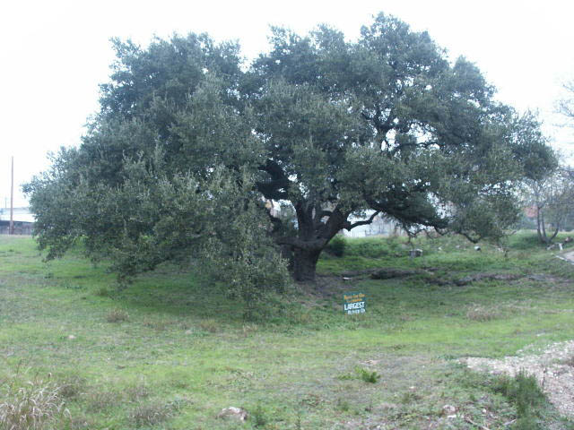 Blanco State Park