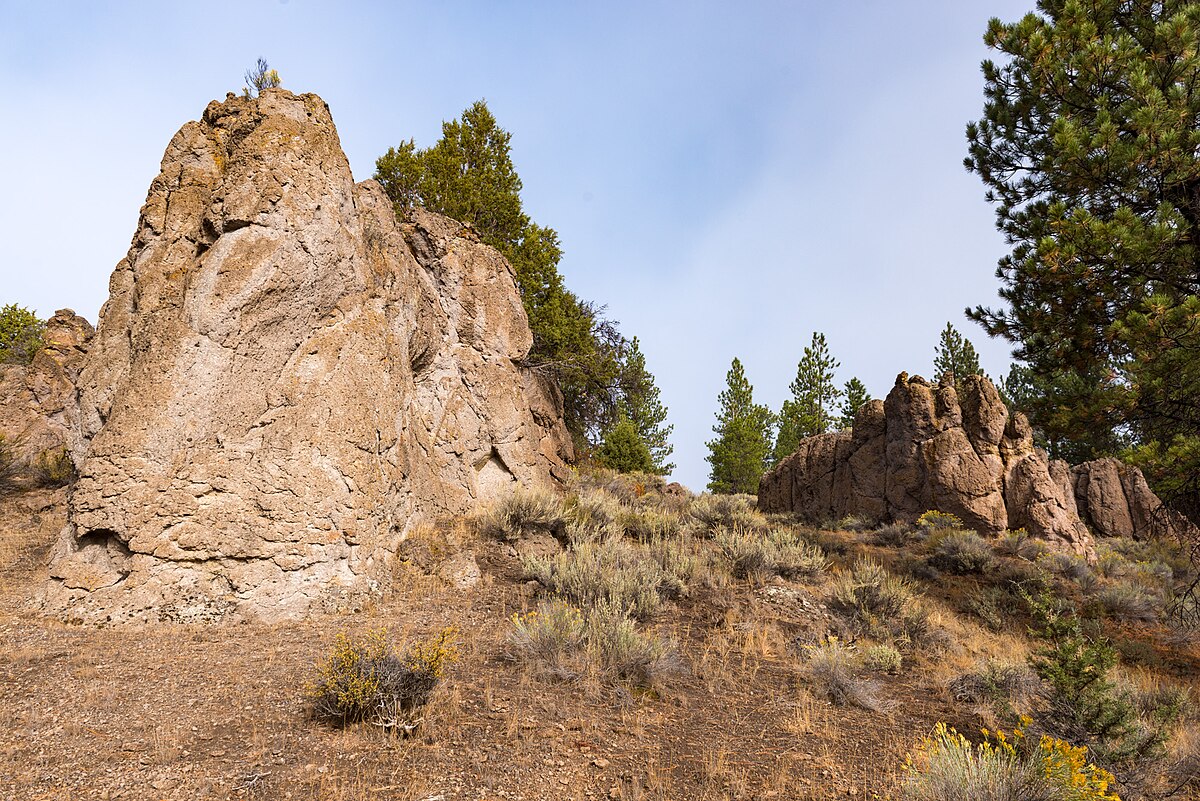 Dairy Point Campground