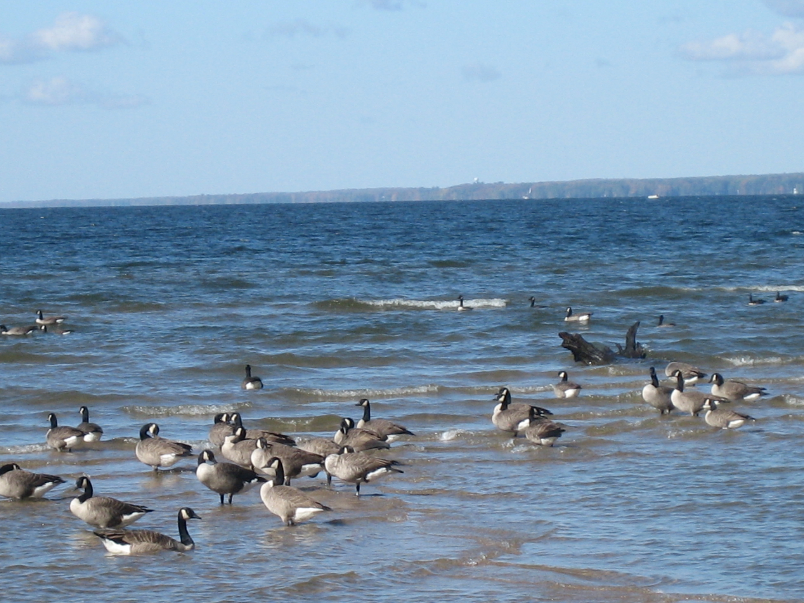 Verona Beach State Park