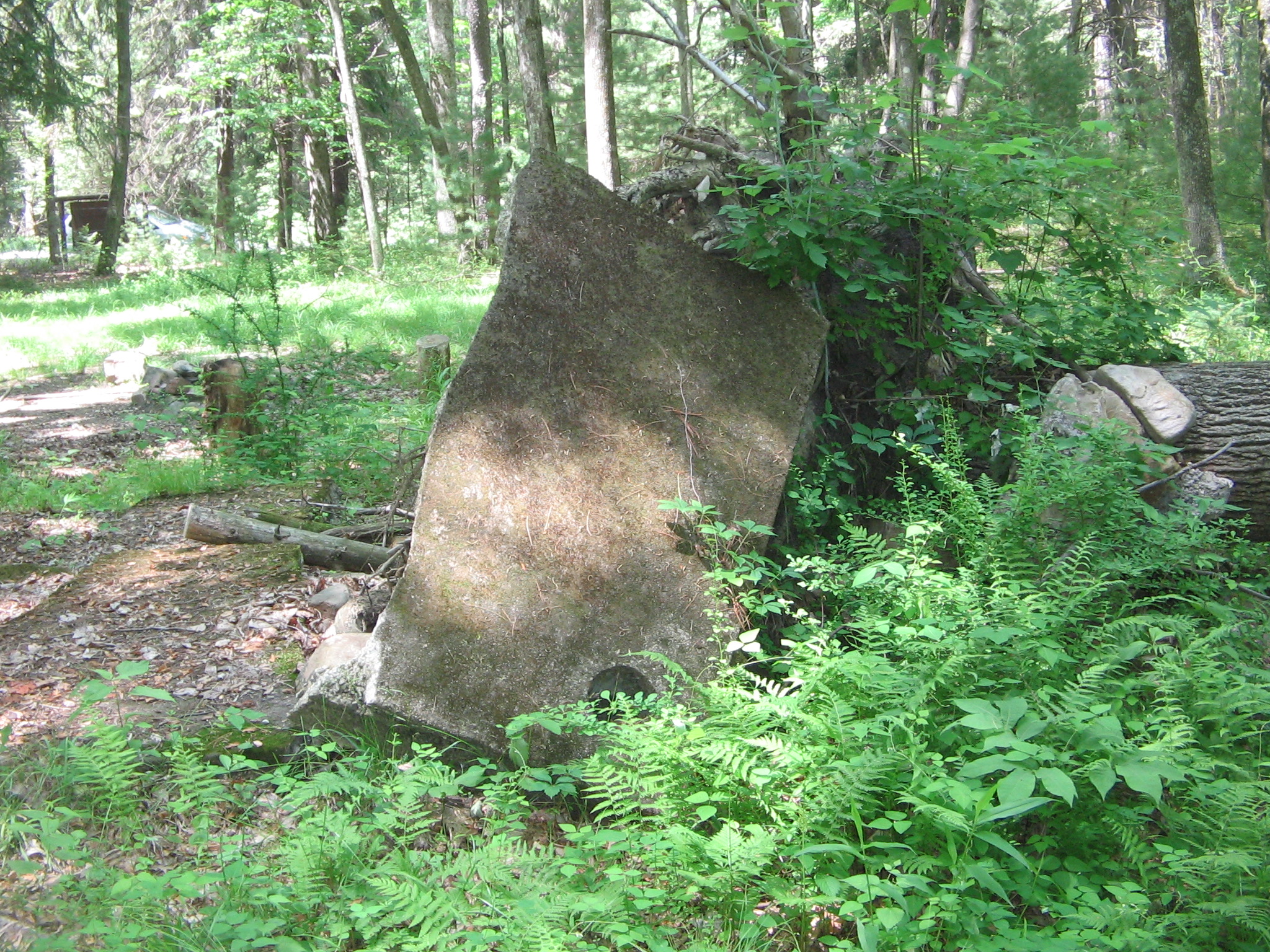 Wikimedia Commons