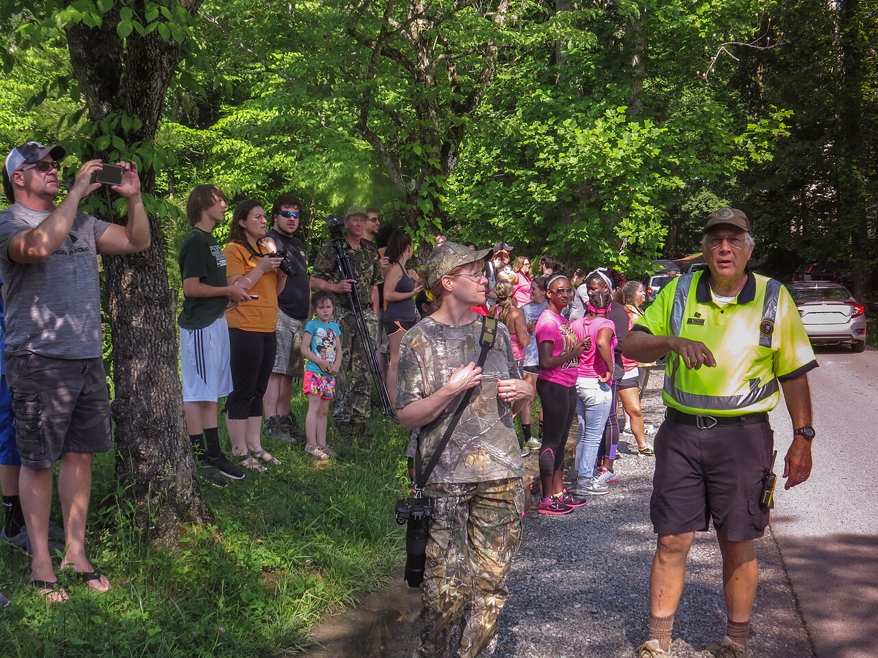 Cades Cove Group