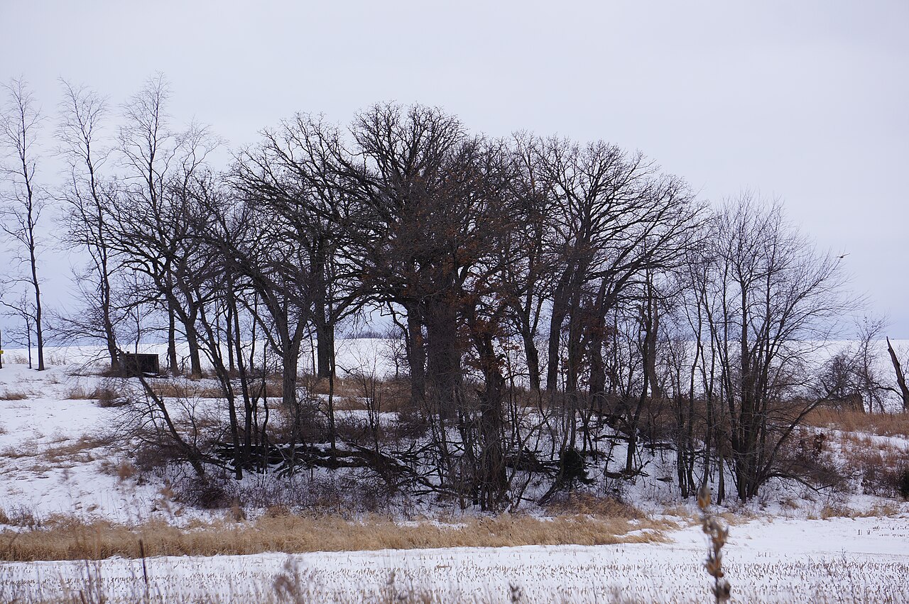 Franklin Creek State Natural Area Campground