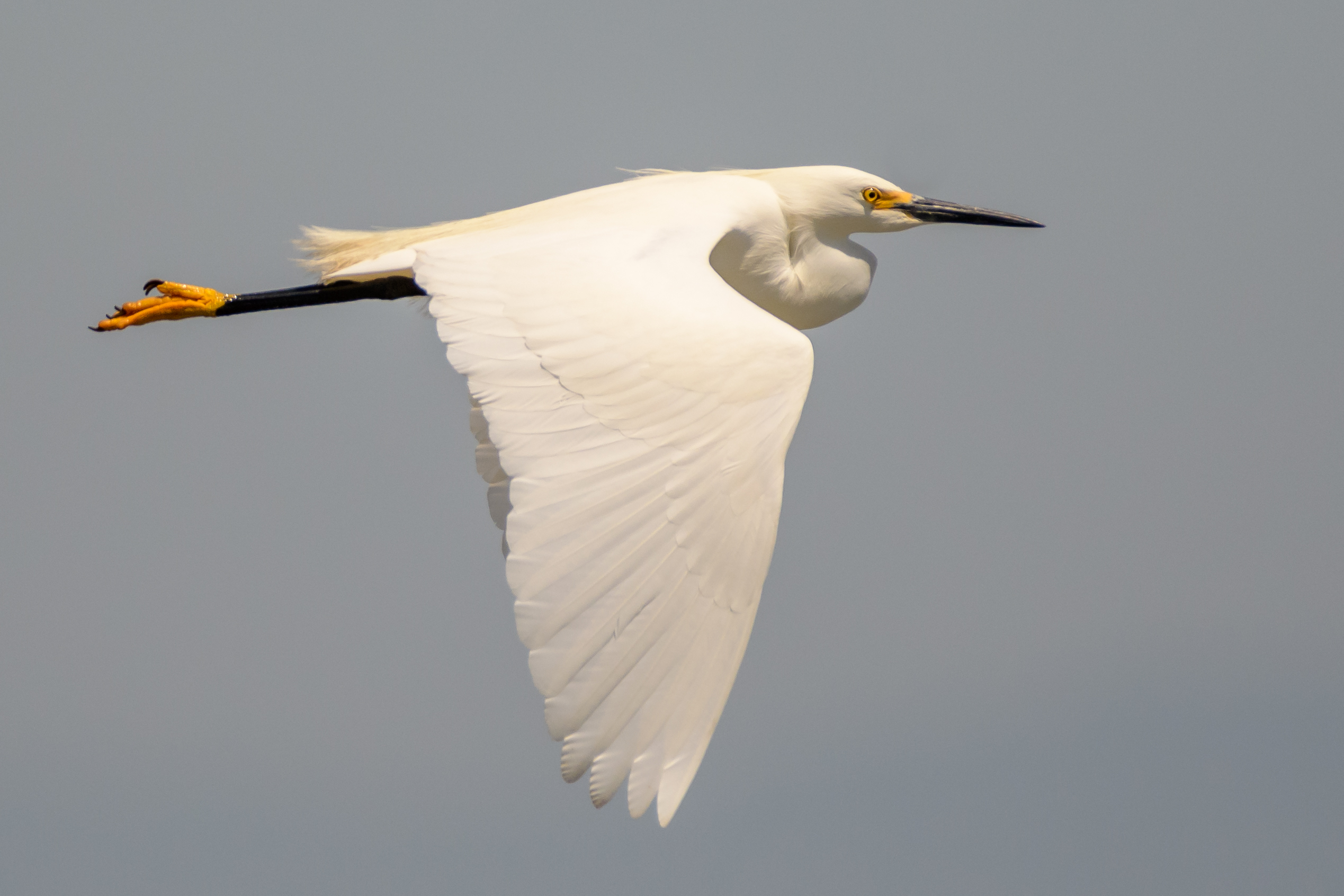 Point Pinole Regional Shoreline