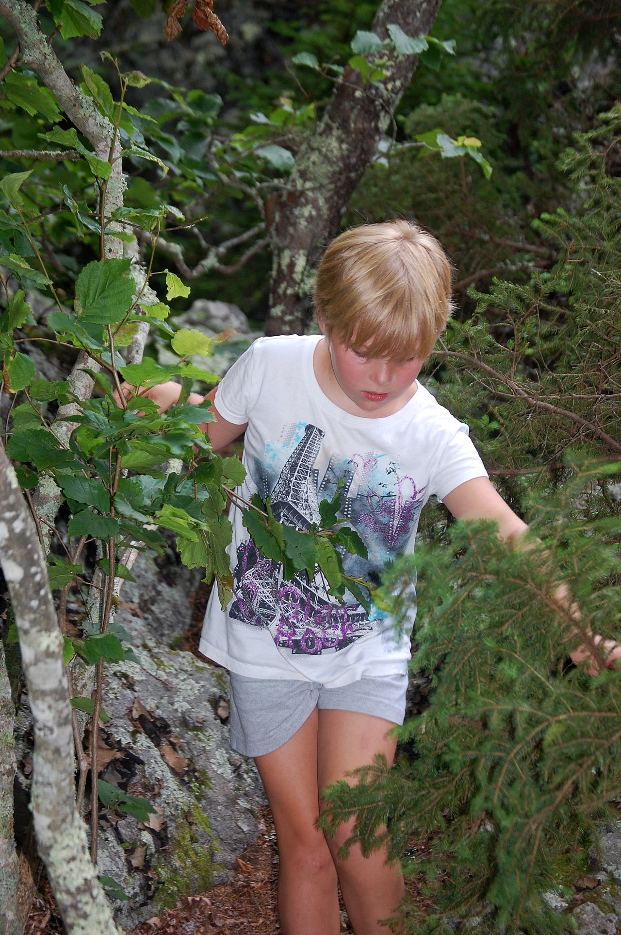 Hickory Ridge Campground