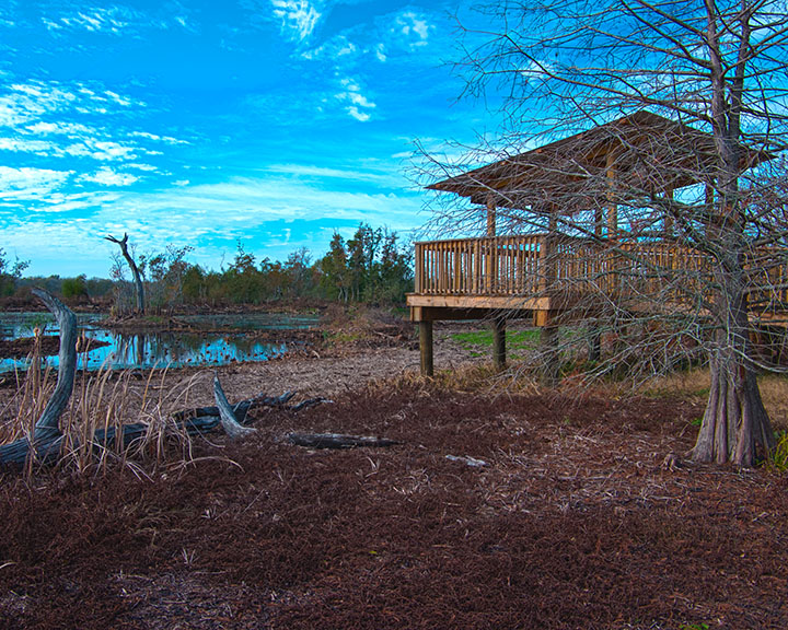 Brazos Bend State Park