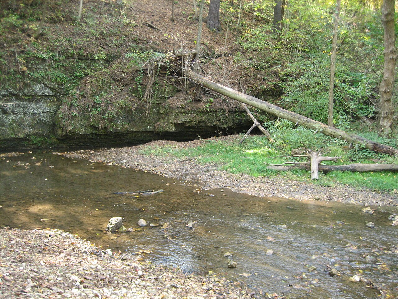 Wikimedia Commons