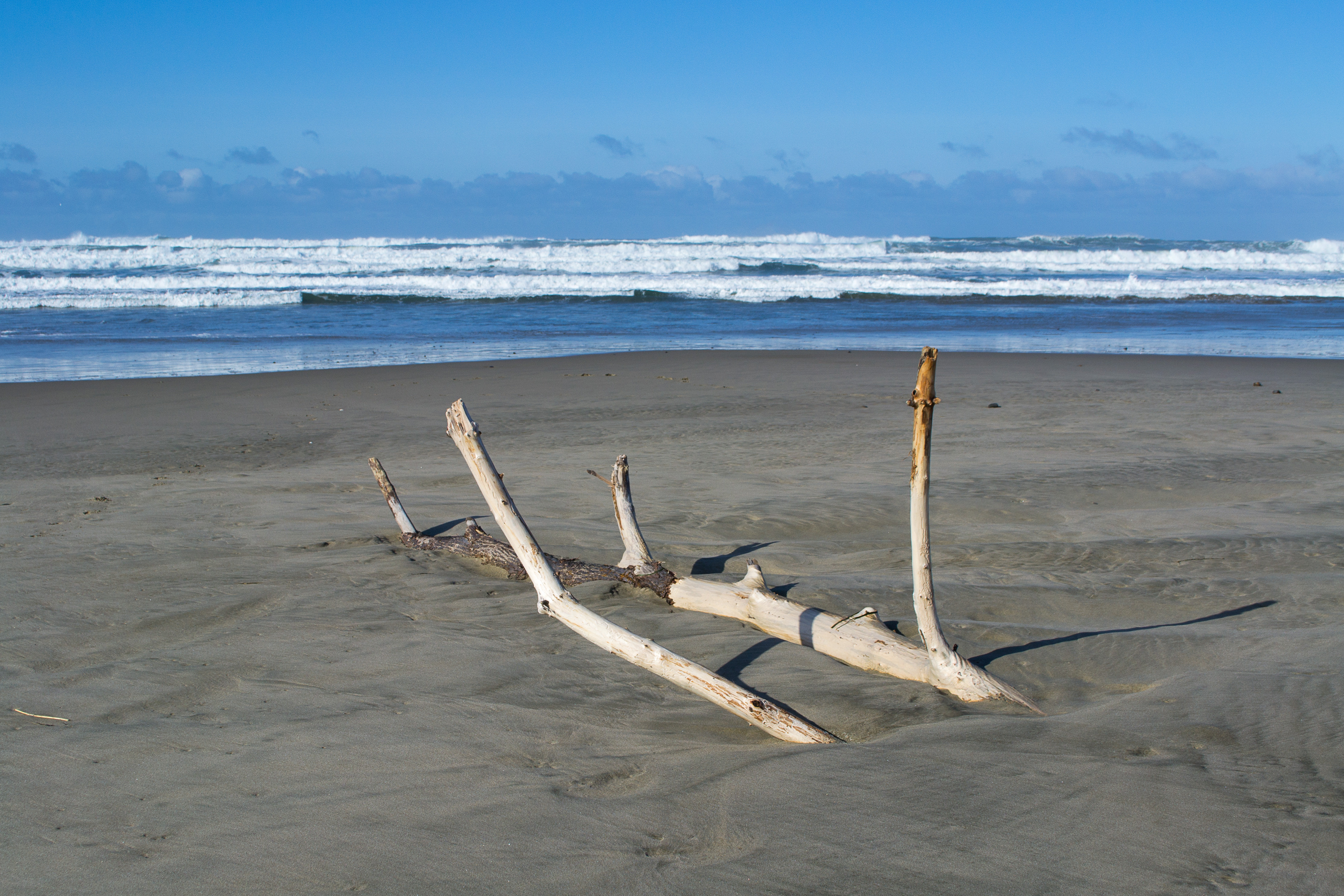 South Beach State Park