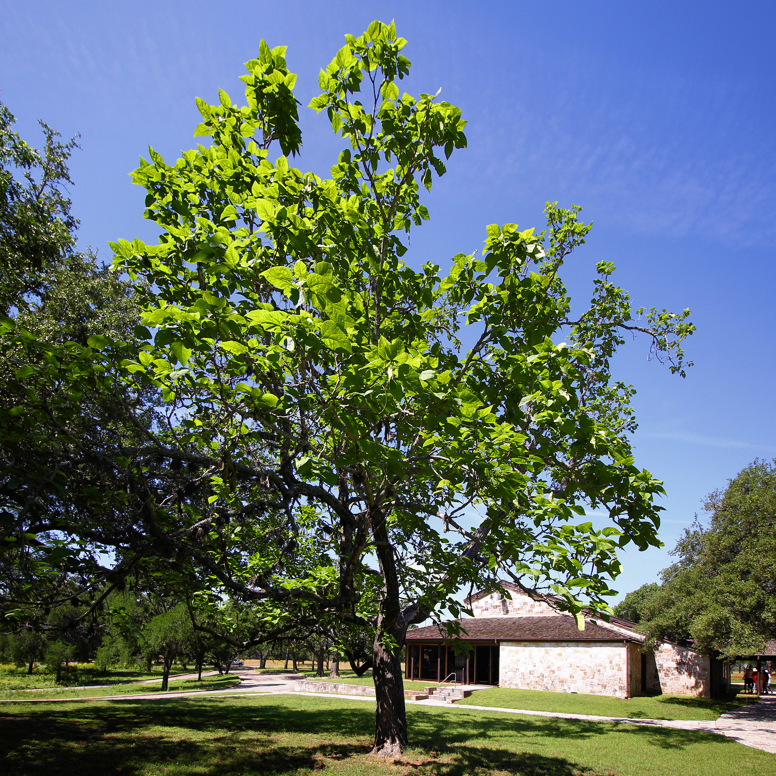 Lyndon B. Johnson State Park And Historic Site
