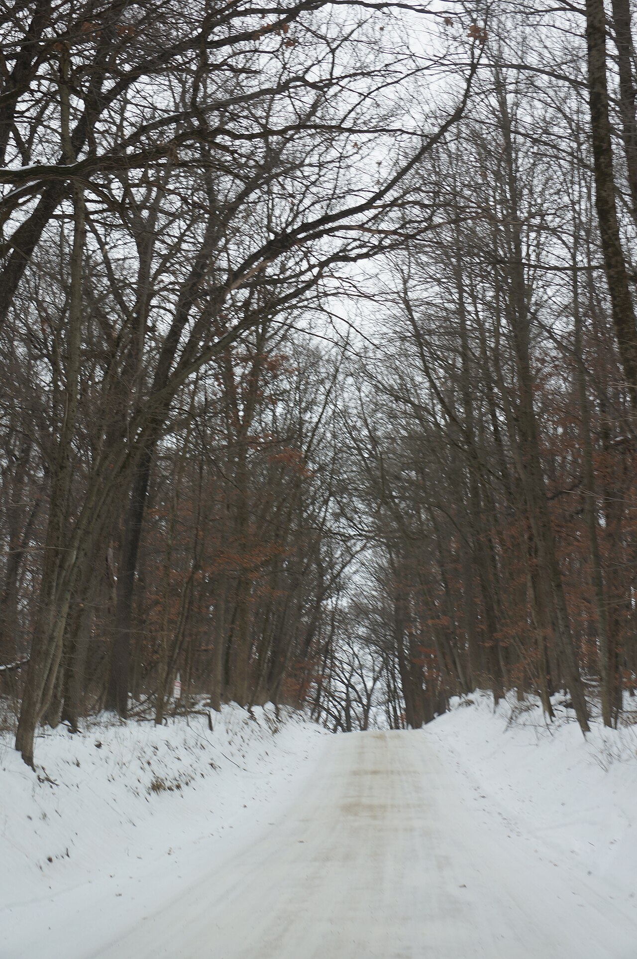 Franklin Creek State Natural Area Campground