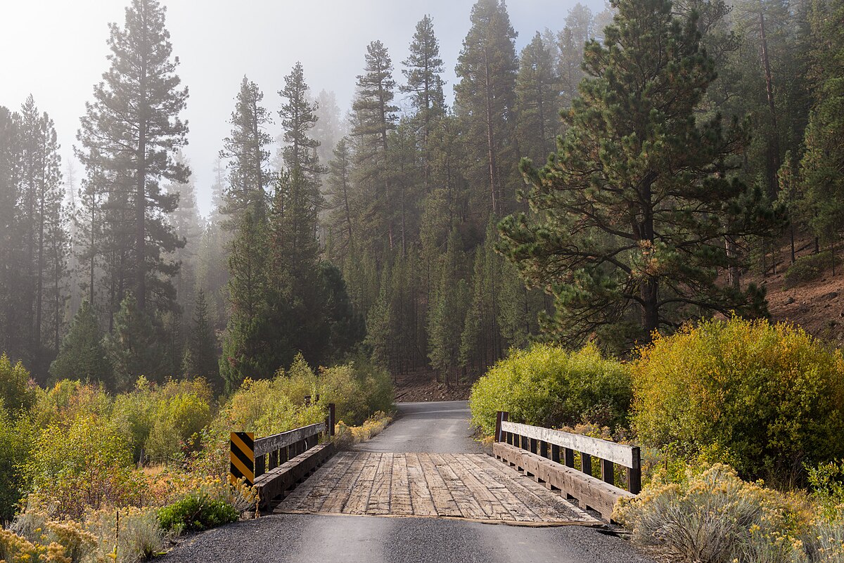 Dairy Point Campground