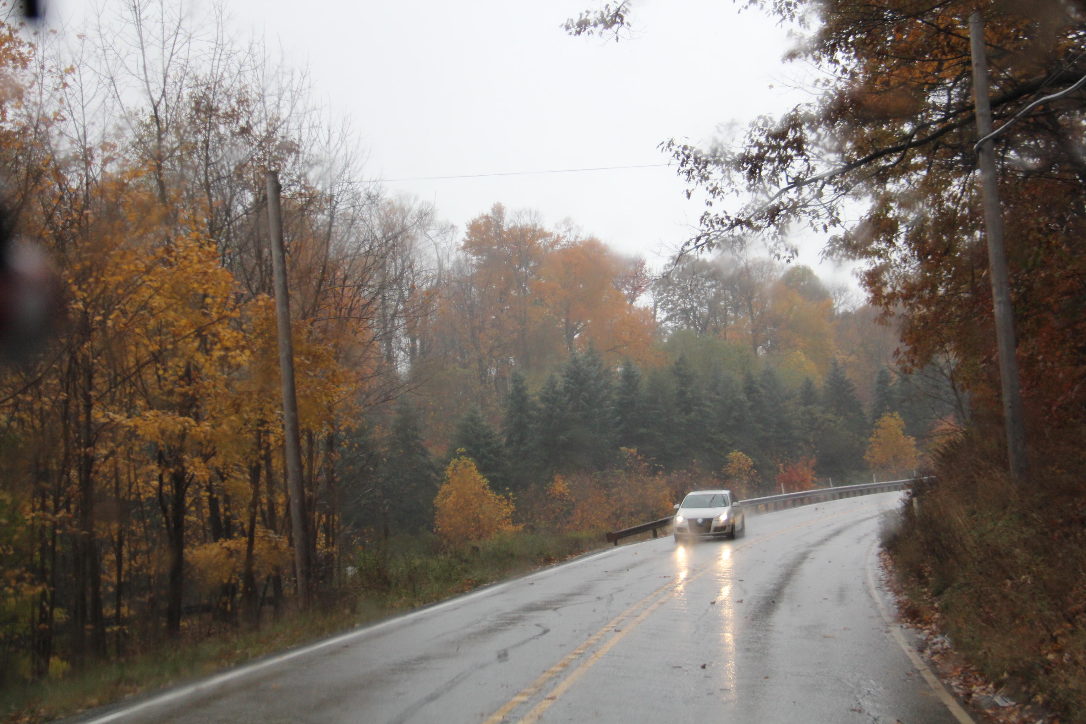 Laurel Hill State Park