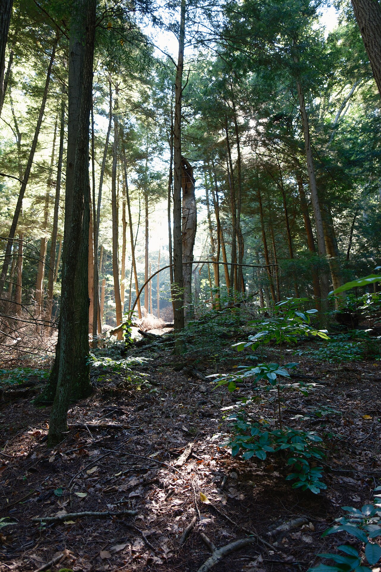 Hocking Hills Youth Group Campground