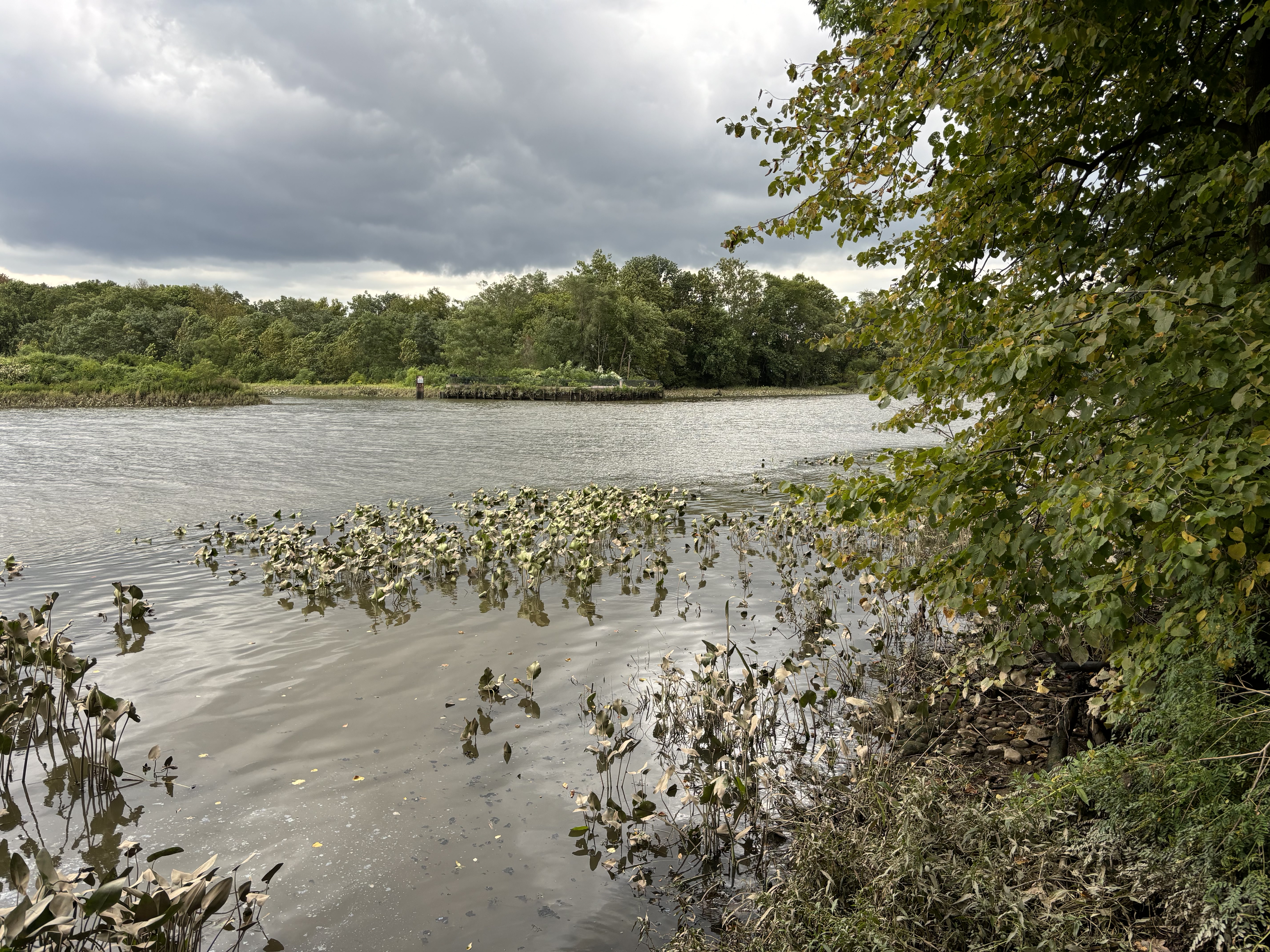 Neshaminy State Park