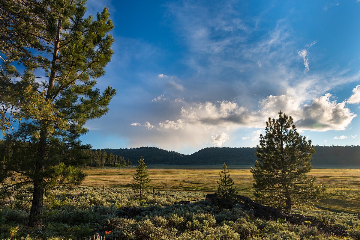 Mud Creek Campground