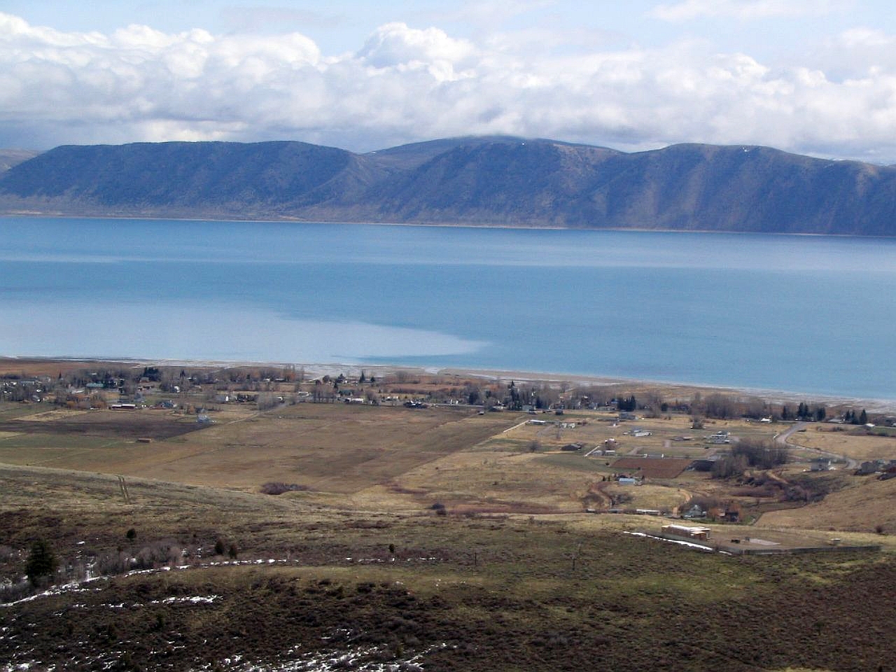Wikimedia Commons