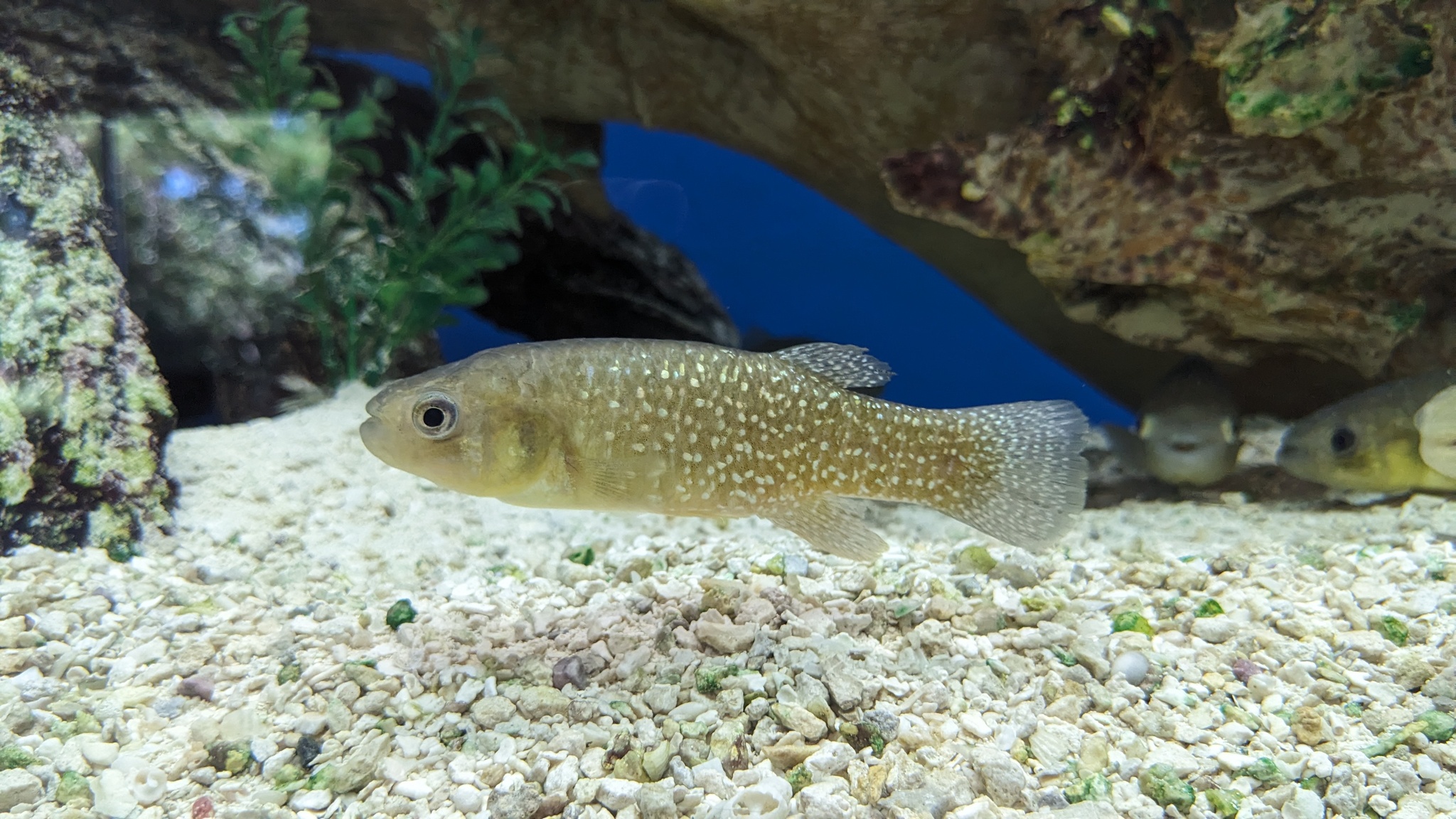 Skidaway Island State Park