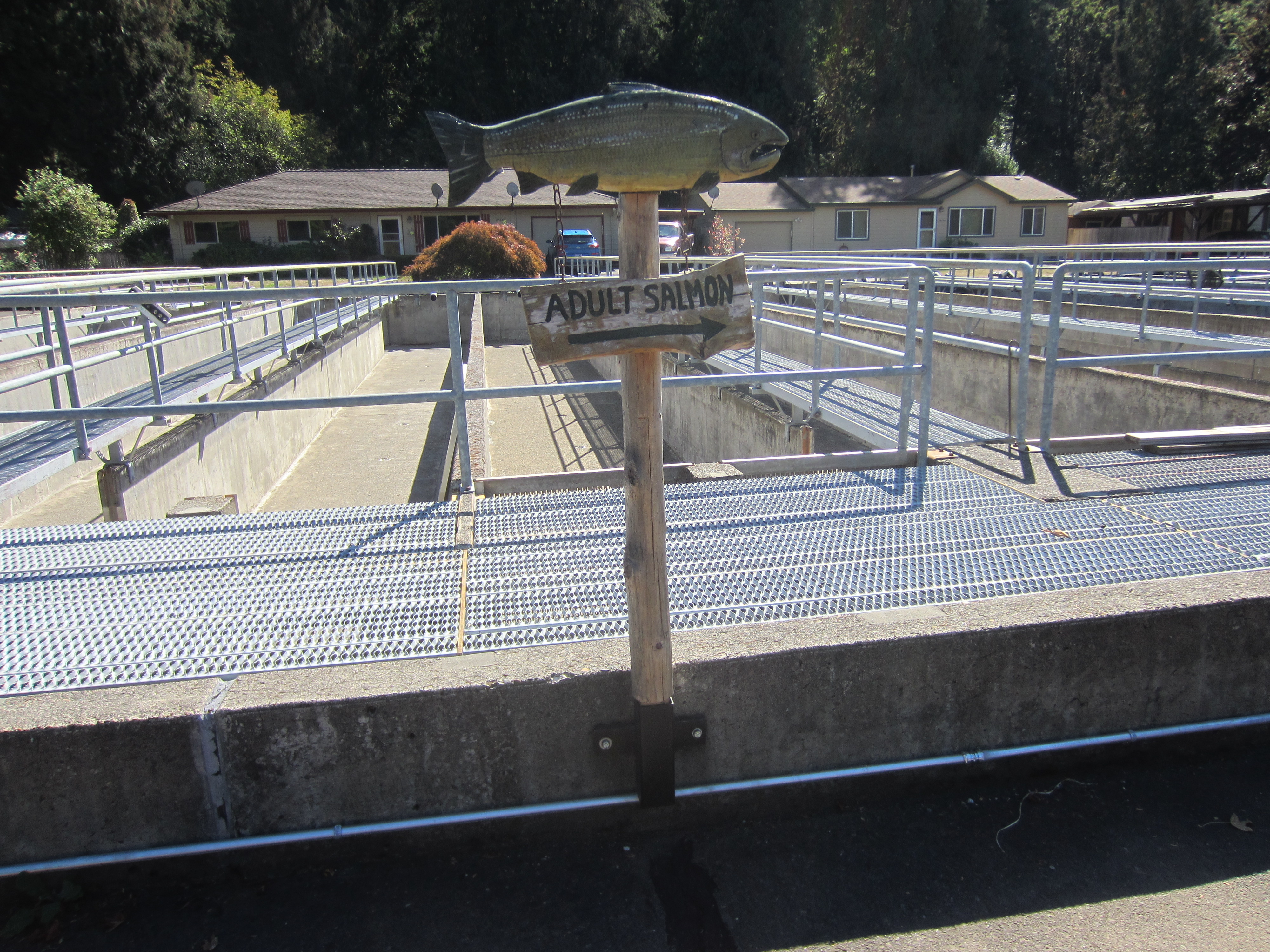 Milo Mciver State Park