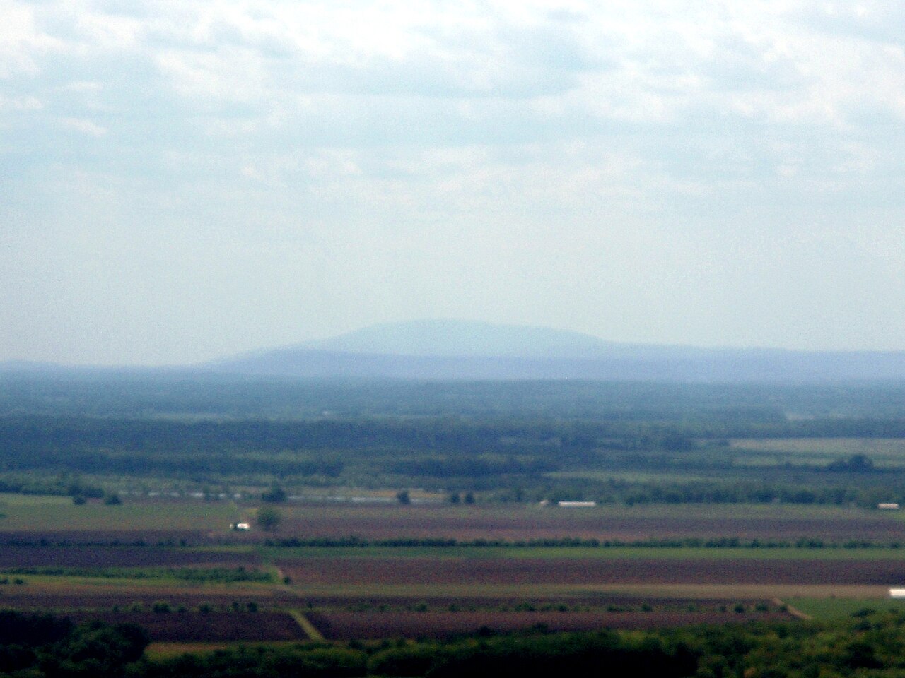 Wikimedia Commons