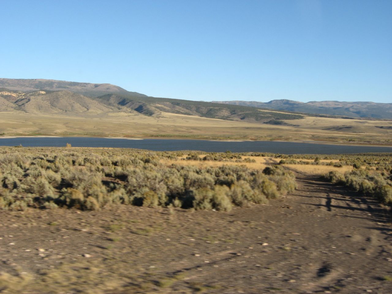 Wikimedia Commons