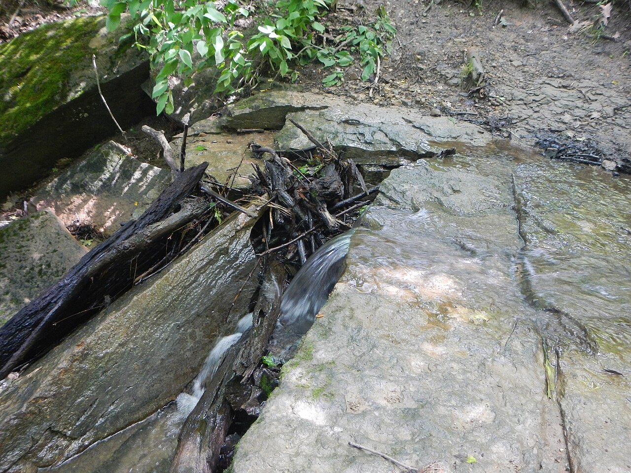 Kickapoo Campground