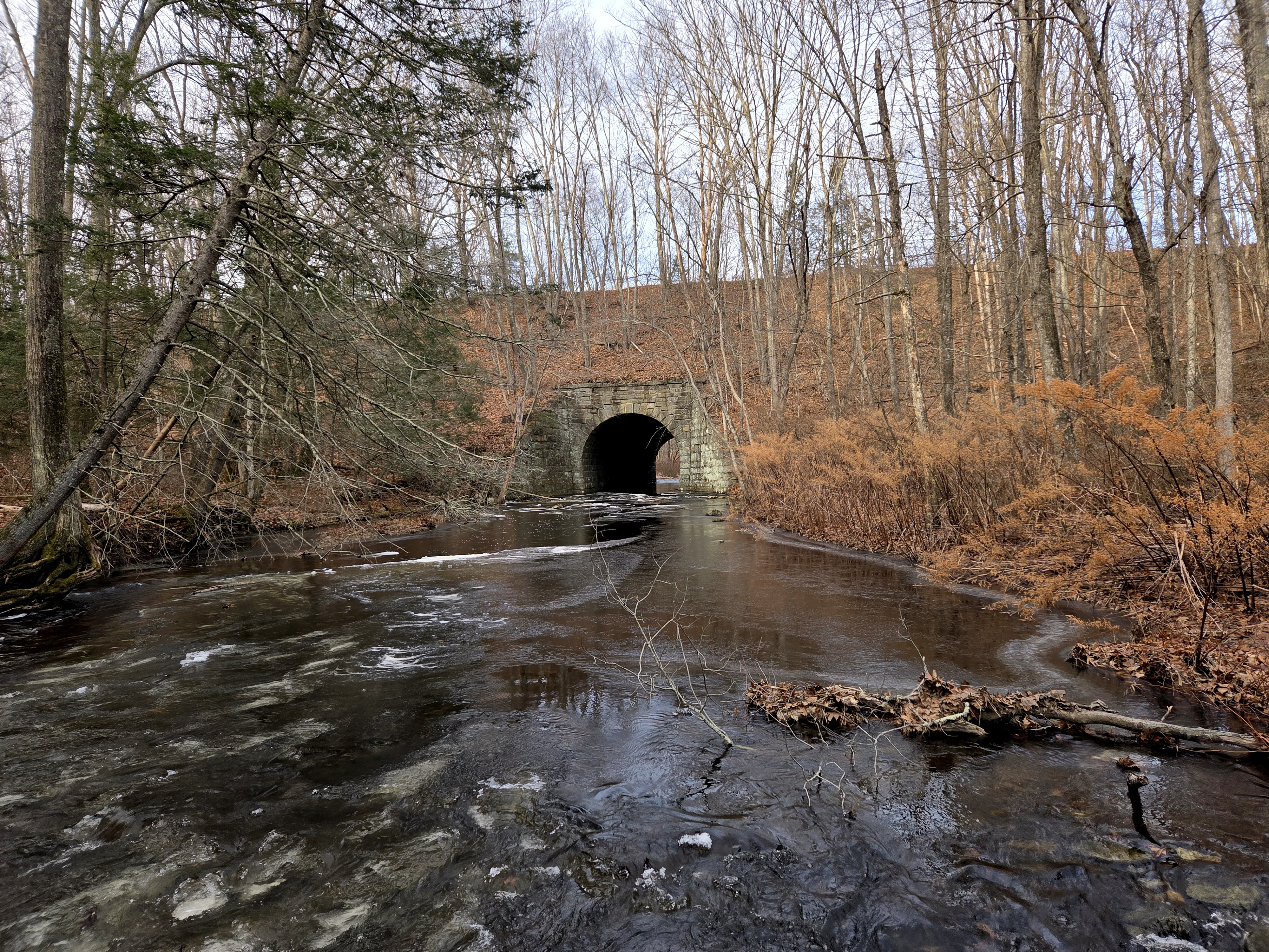 Mashamoquet Brook State Park