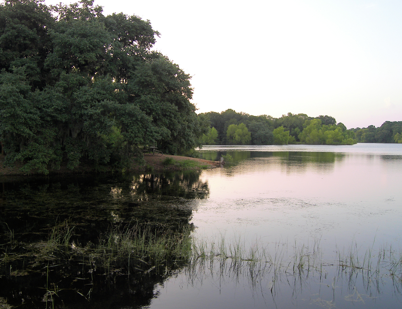 Wikimedia Commons