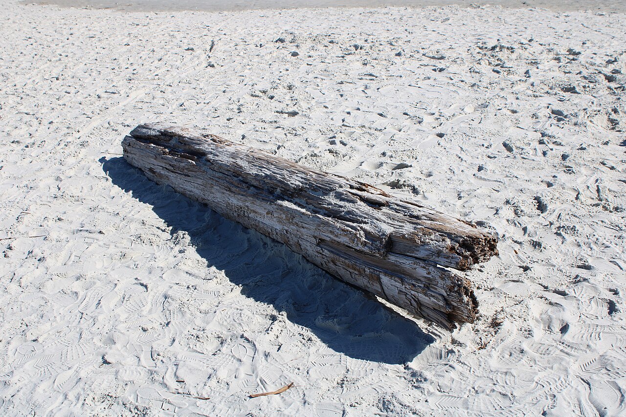 Huntington Beach State Park