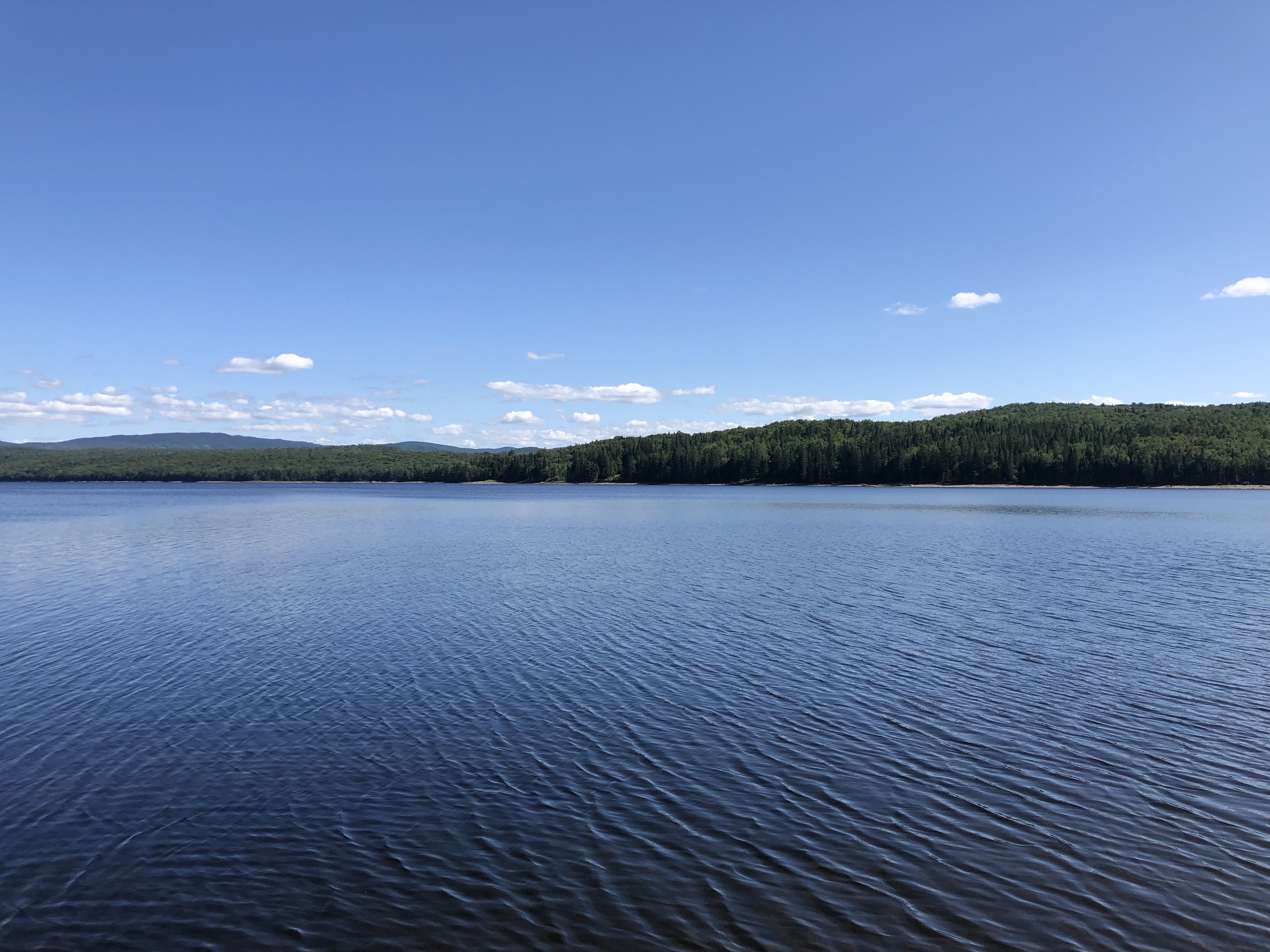 Lake Francis State Park