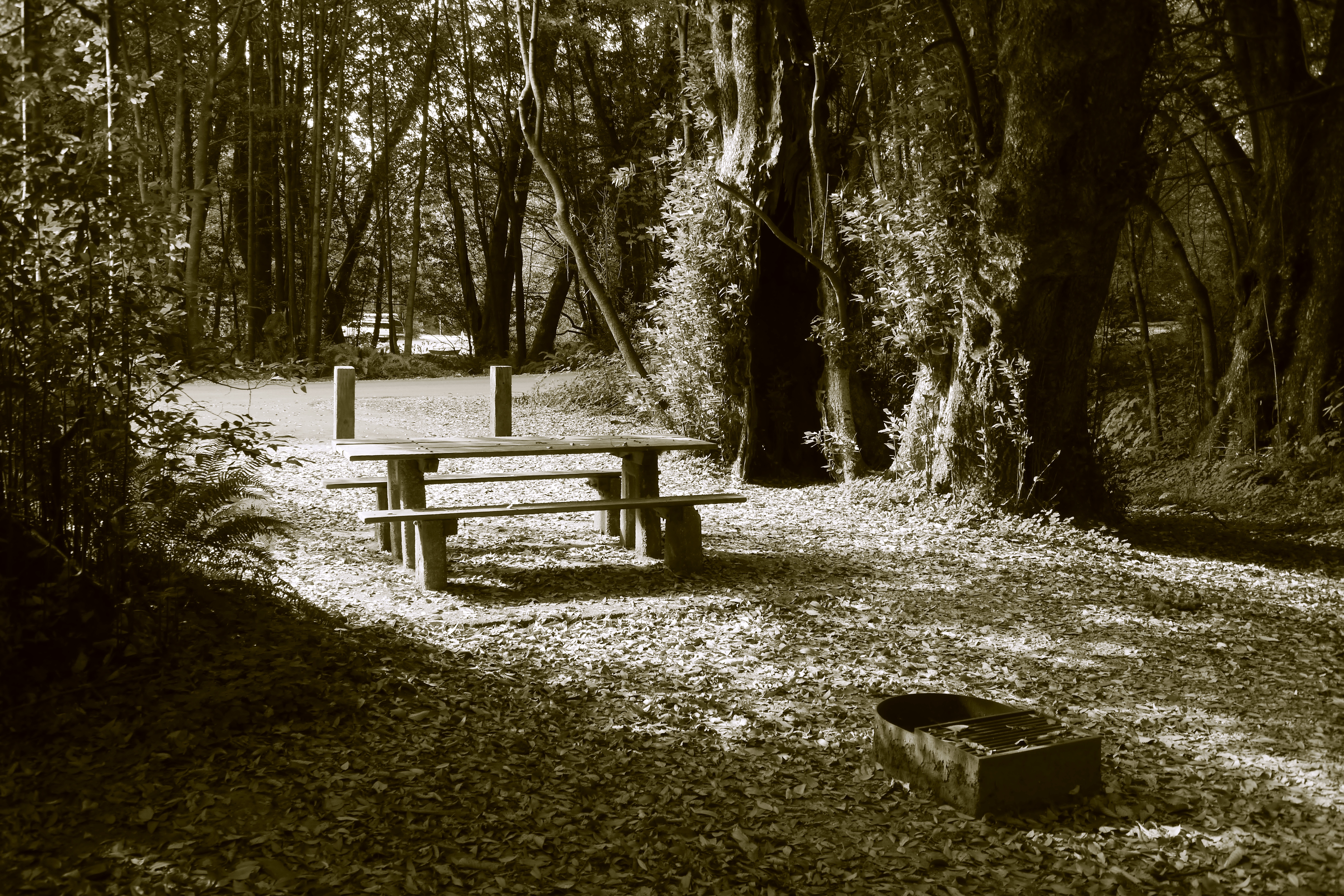 Alfred A. Loeb State Park