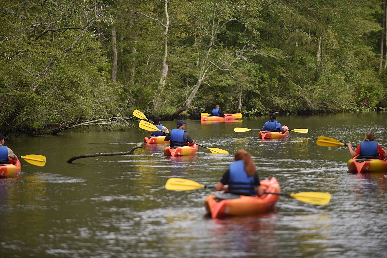 Pocomoke River State Park