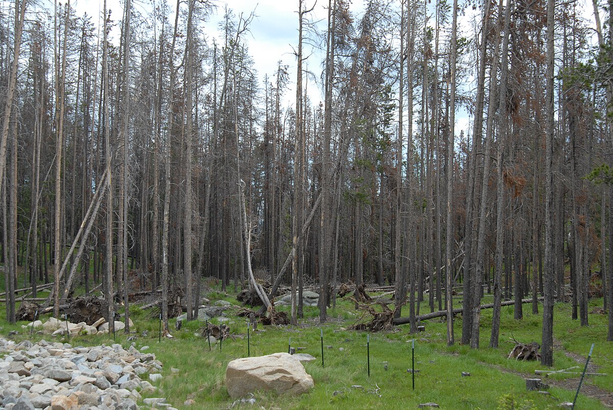 Park Lake Campground