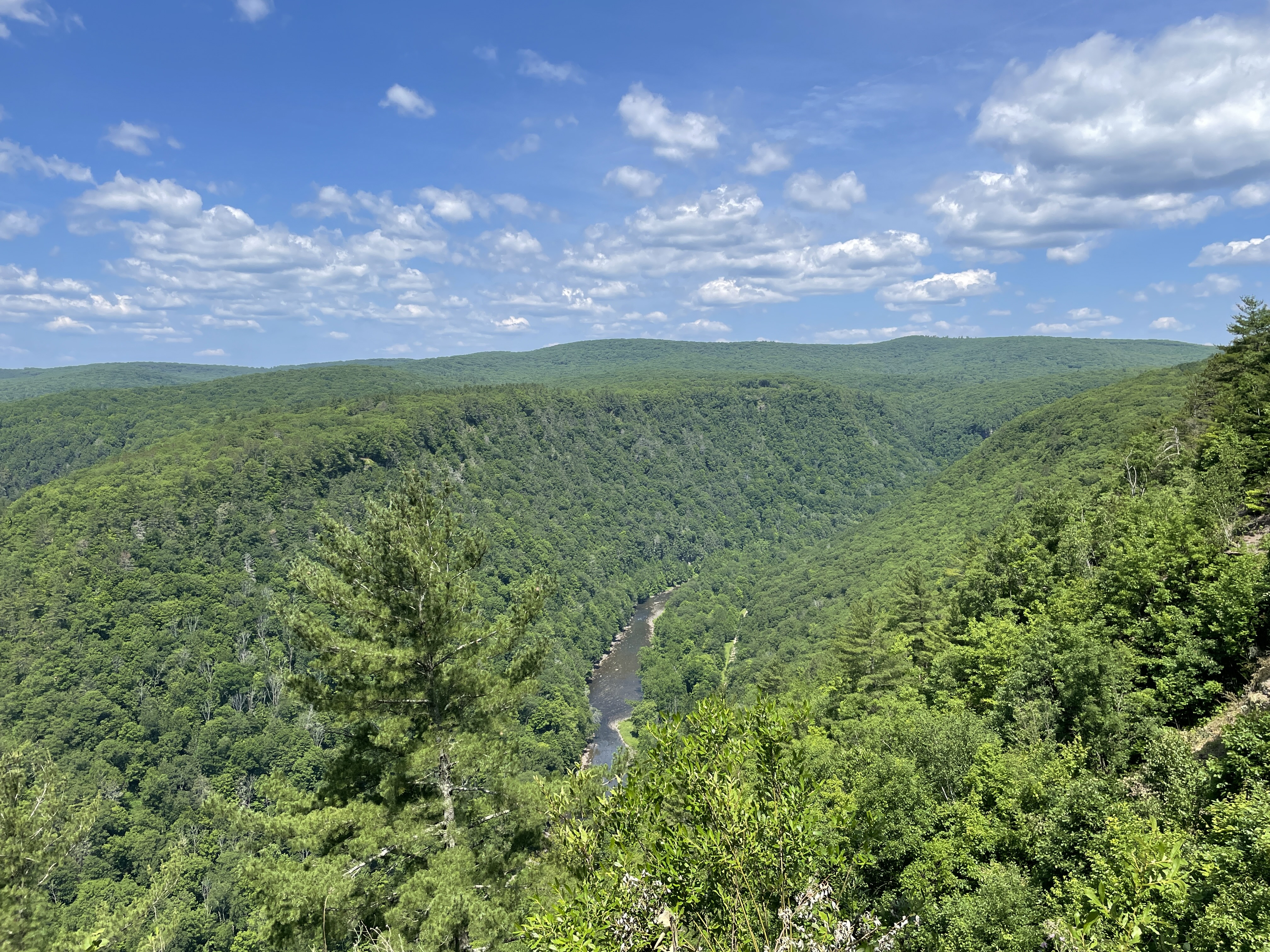 Leonard Harrison State Park