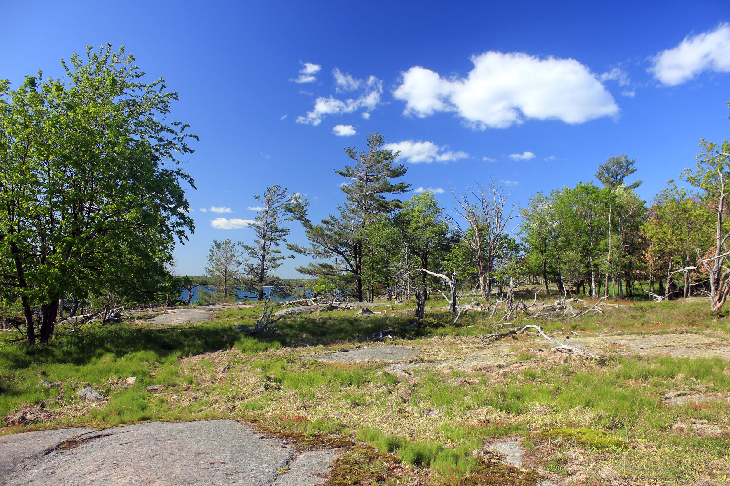 Wellesley Island State Park