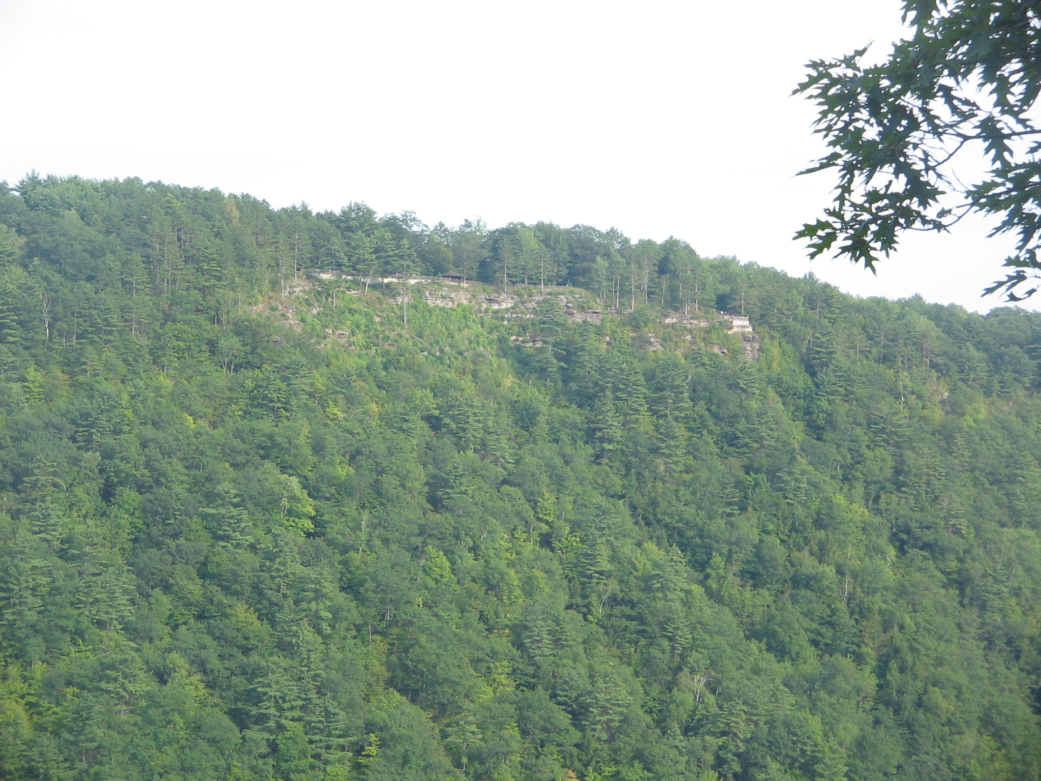 Wikimedia Commons