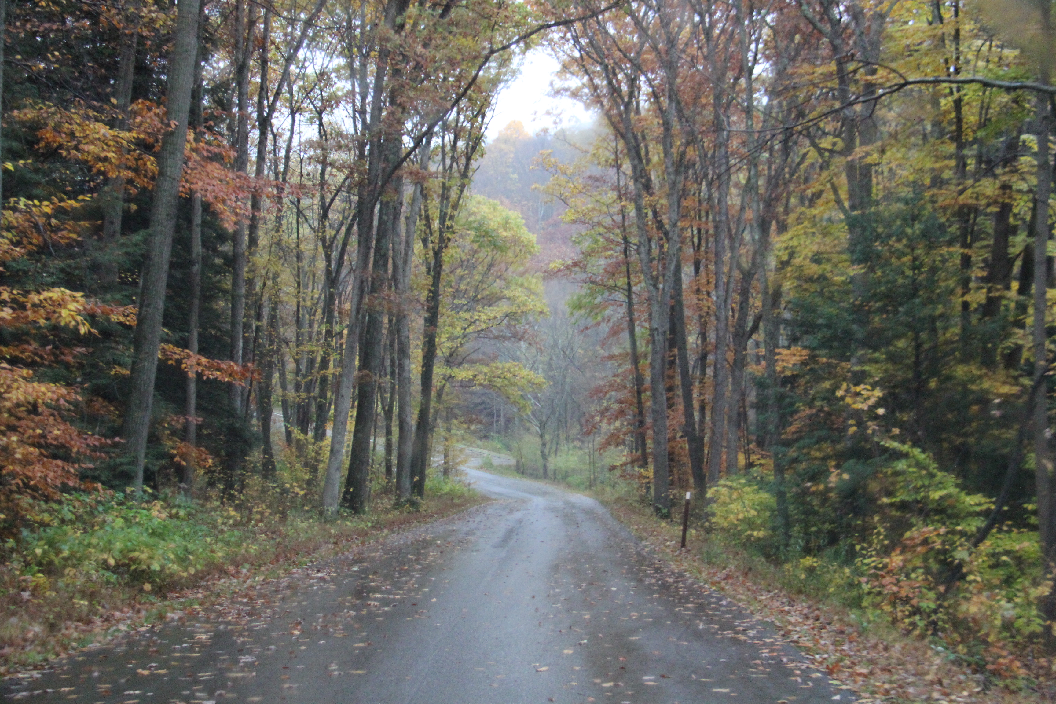 Laurel Hill State Park
