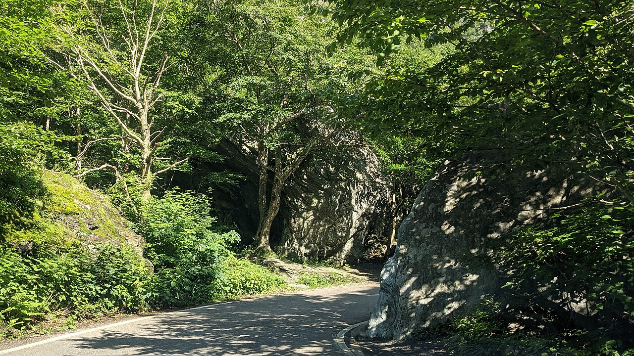 Wikimedia Commons