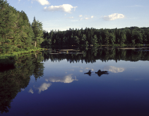 Promised Land State Park