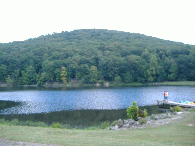 Wikimedia Commons