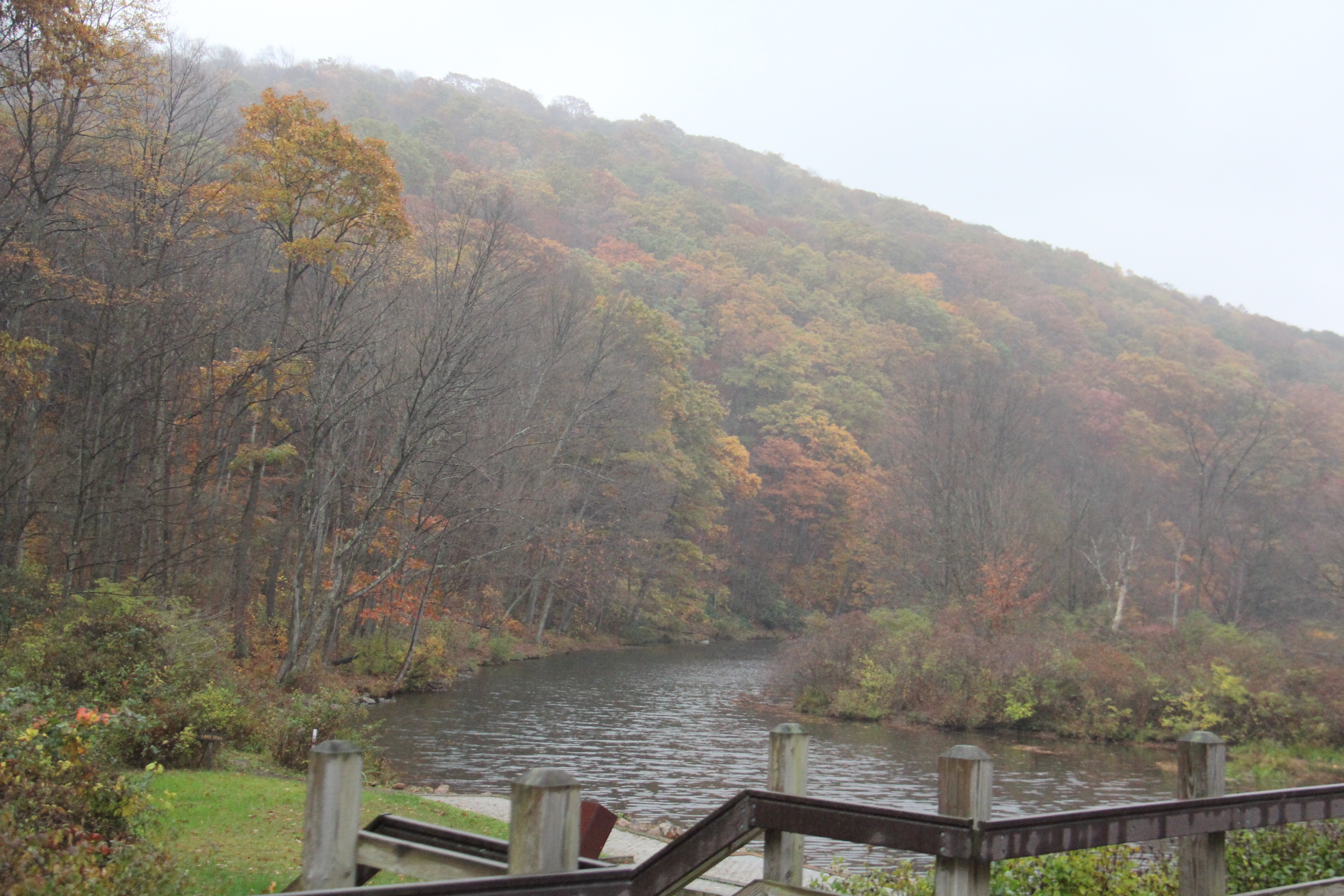 Laurel Hill State Park