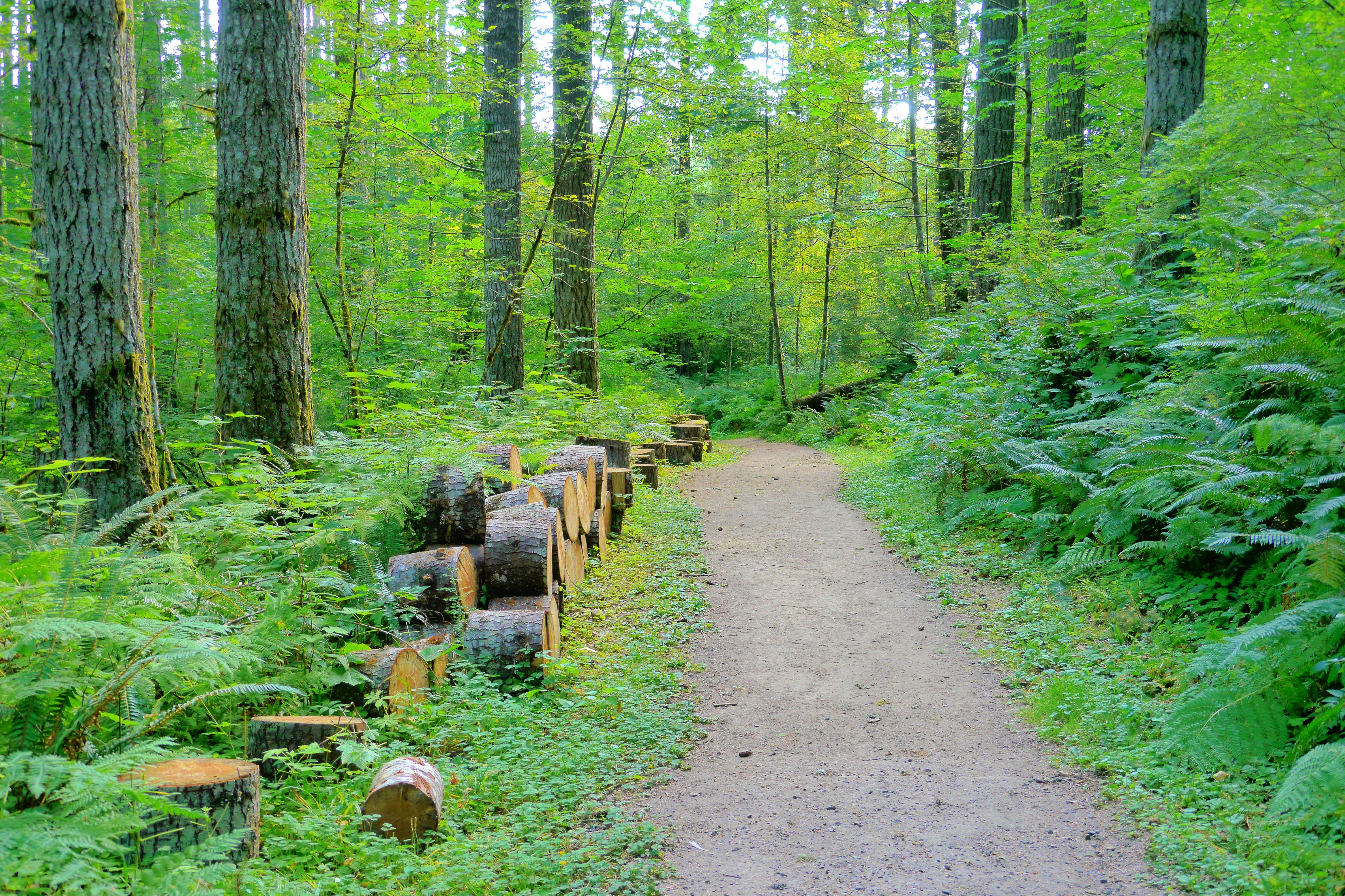 L.L. Stub Stewart Memorial State Park